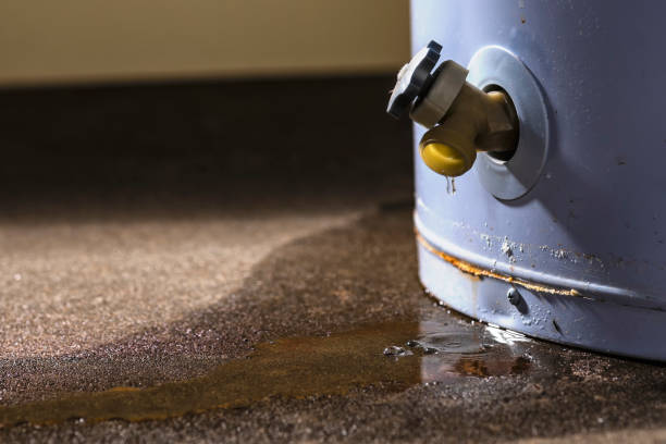 Best Water damage restoration near me  in Quitman, GA