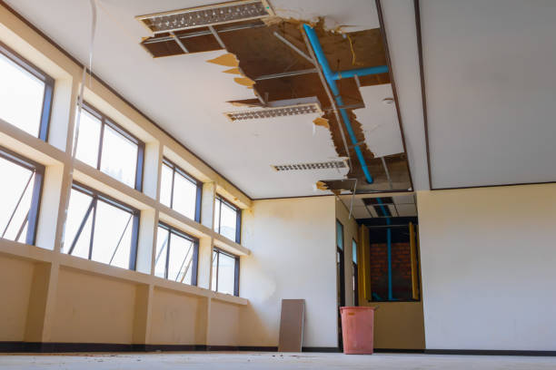 Best Water damage mitigation services  in Quitman, GA