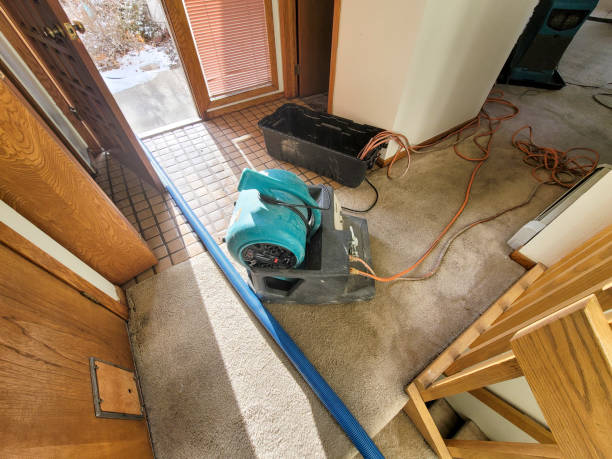 Best Local water damage restoration  in Quitman, GA