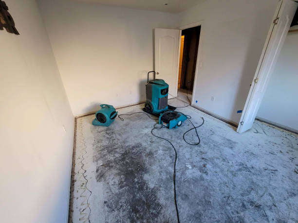 Professional Water damage restoration in Quitman, GA