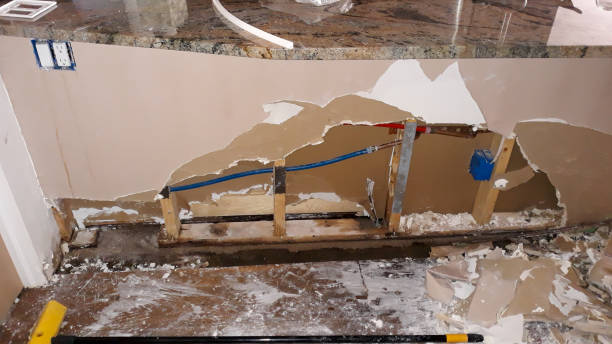 Best Water damage contractors near me  in Quitman, GA