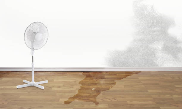 Best Flood damage cleanup  in Quitman, GA