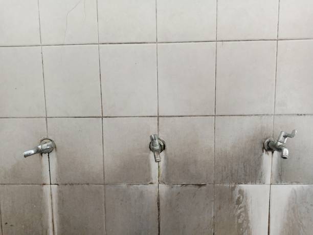 Best Basement water damage restoration  in Quitman, GA