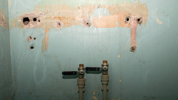 Best 24-hour water damage restoration  in Quitman, GA