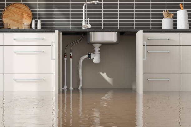Sewage cleanup and water damage restoration in Quitman, GA