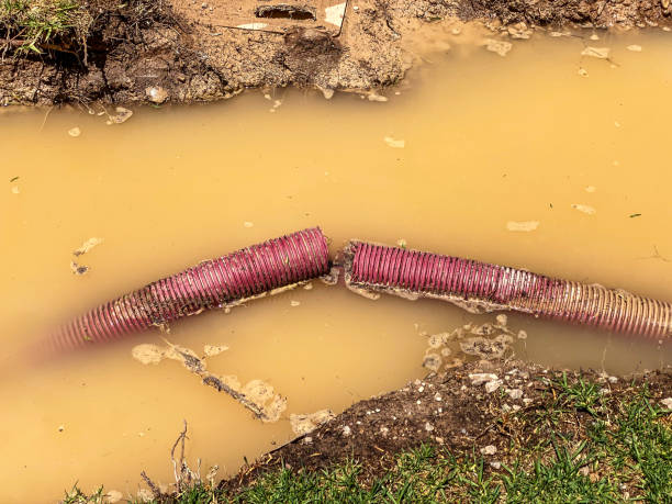Best Water damage restoration near me  in Quitman, GA